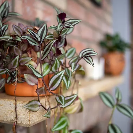 Bristolshortstays - Bishopston Bristol